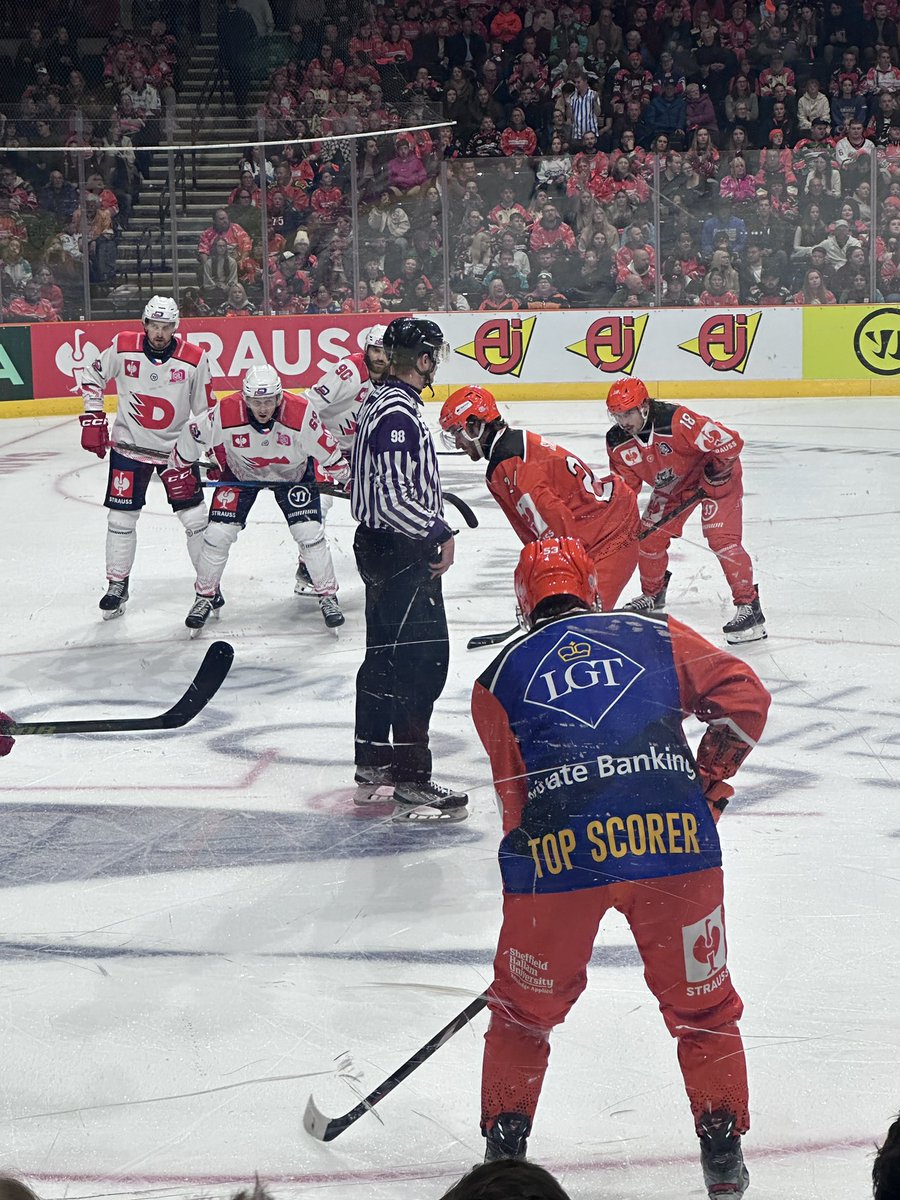DD28230045's tweet photo. #chl #sheffieldsteelers #dynamopardubice https://t.co/1BLjM83OV0