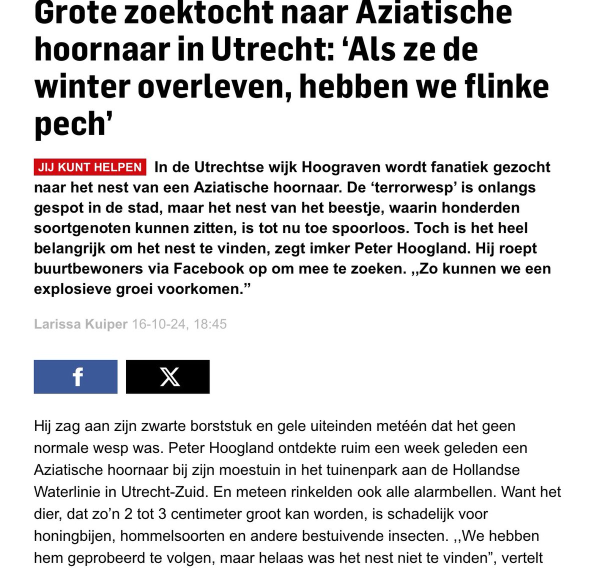 Zoek, zoek, zoek mensen. #Hoornaar in #Hoograven er zit hier ergens een nest. 😱