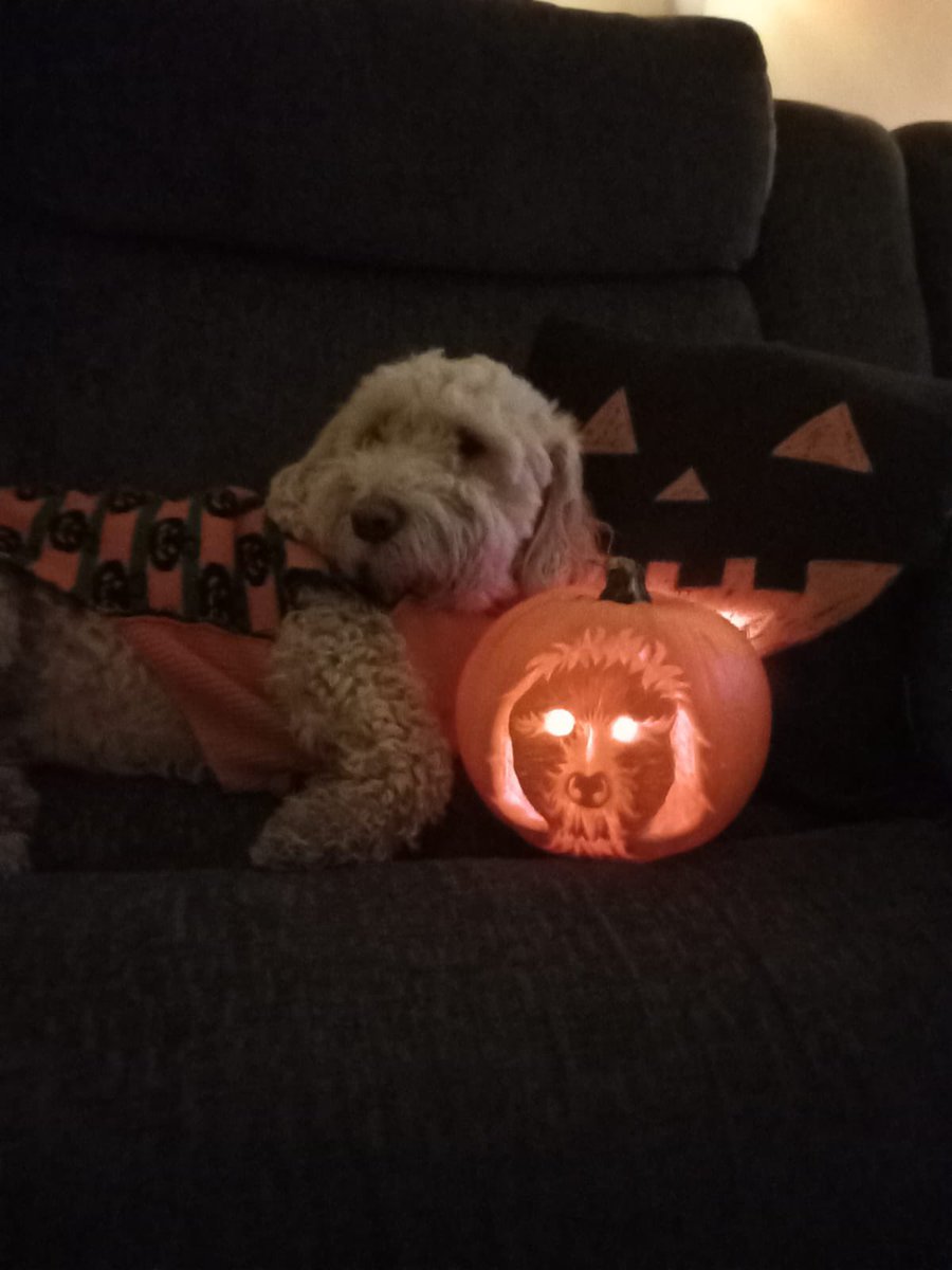 Look at this amazing 🎃
Our children love Geoff our school dog so much they have made him a portrait pumpkin 🎃🎃<a href="/MissBentleyLW/">Miss Bentley LW</a> <a href="/MrStevensLW/">Mr Stevens</a> <a href="/MrsJamesLW/">Maple Tree Class</a> <a href="/embarkfed/">Embark Federation</a> <a href="/CrawfordMatt77/">Matthew Crawford FCCT</a>