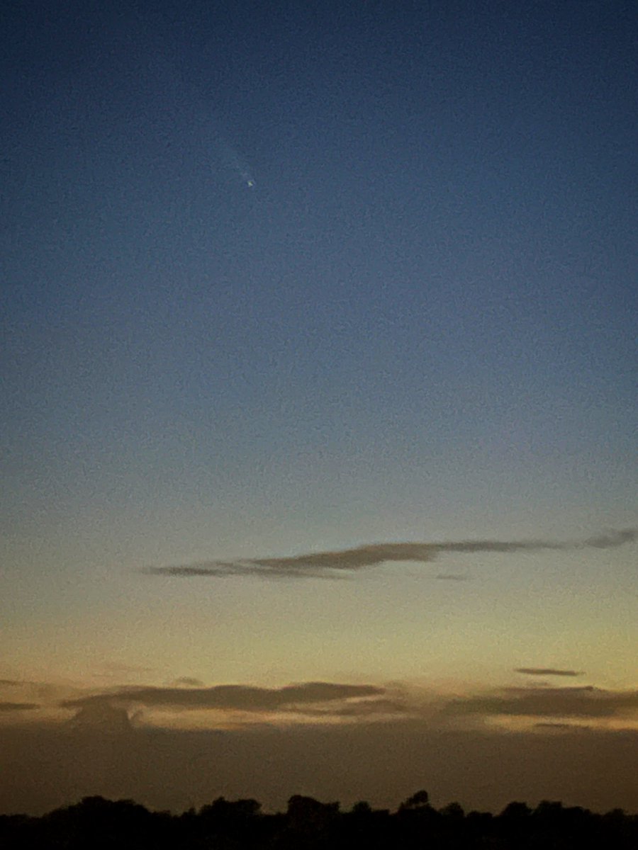 Chris Lansdell tweet media