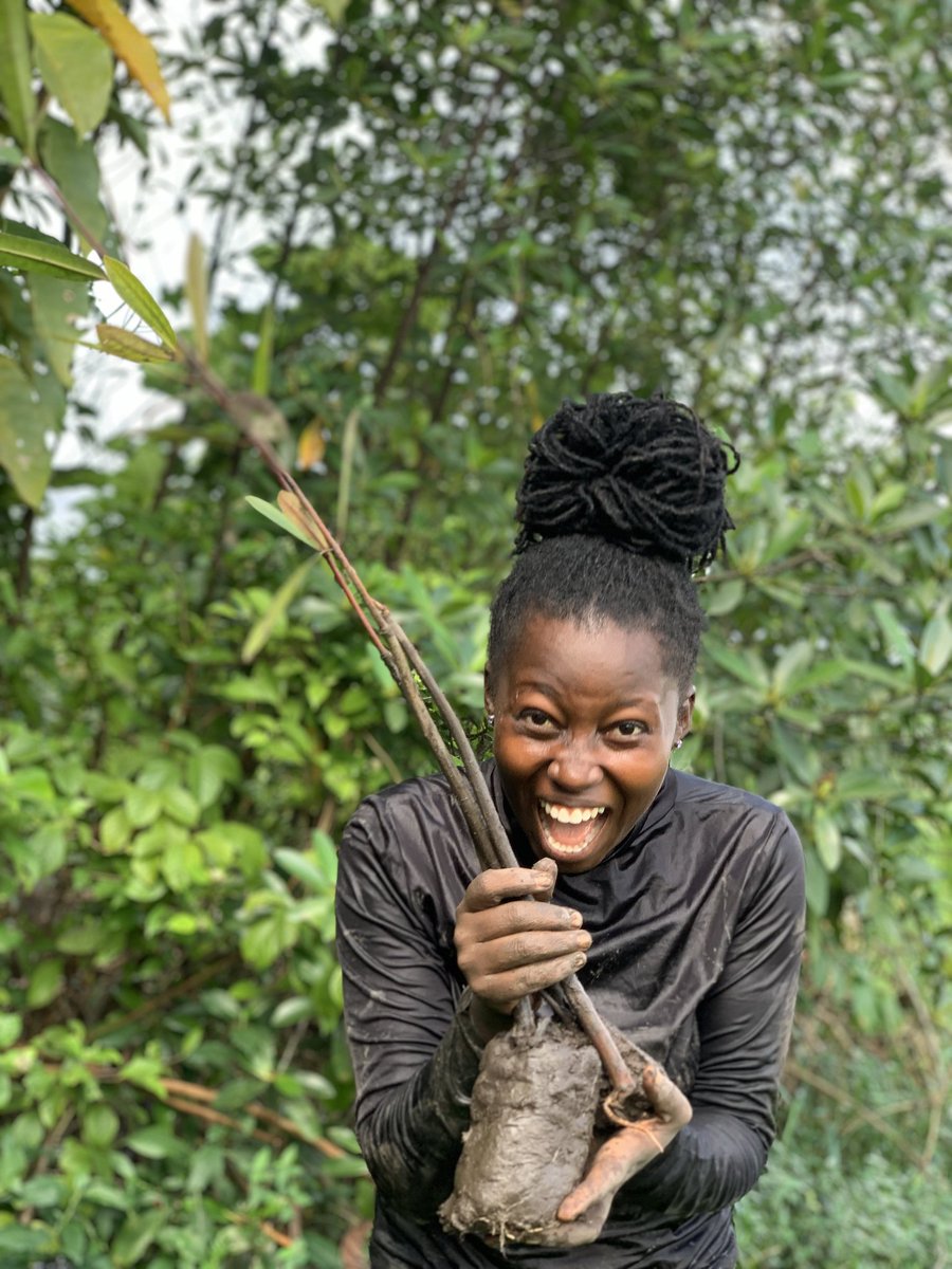 BRC_NG's tweet image. With passion we regreen our landscape.
We are Bio-Rescuers! Click the link below to find out more about us.
sites.google.com/view/biodivers…

#ActLandscapes