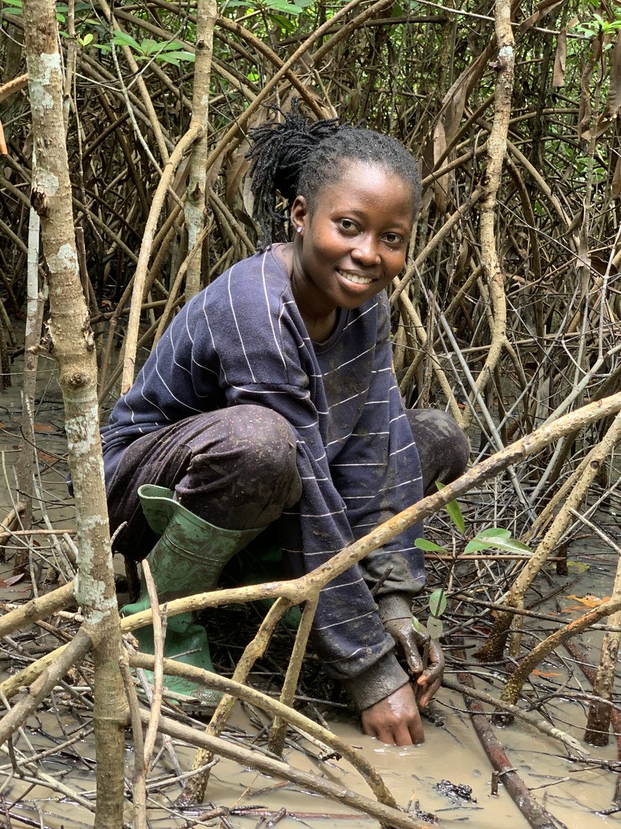 BRC_NG's tweet image. With passion we regreen our landscape.
We are Bio-Rescuers! Click the link below to find out more about us.
sites.google.com/view/biodivers…

#ActLandscapes