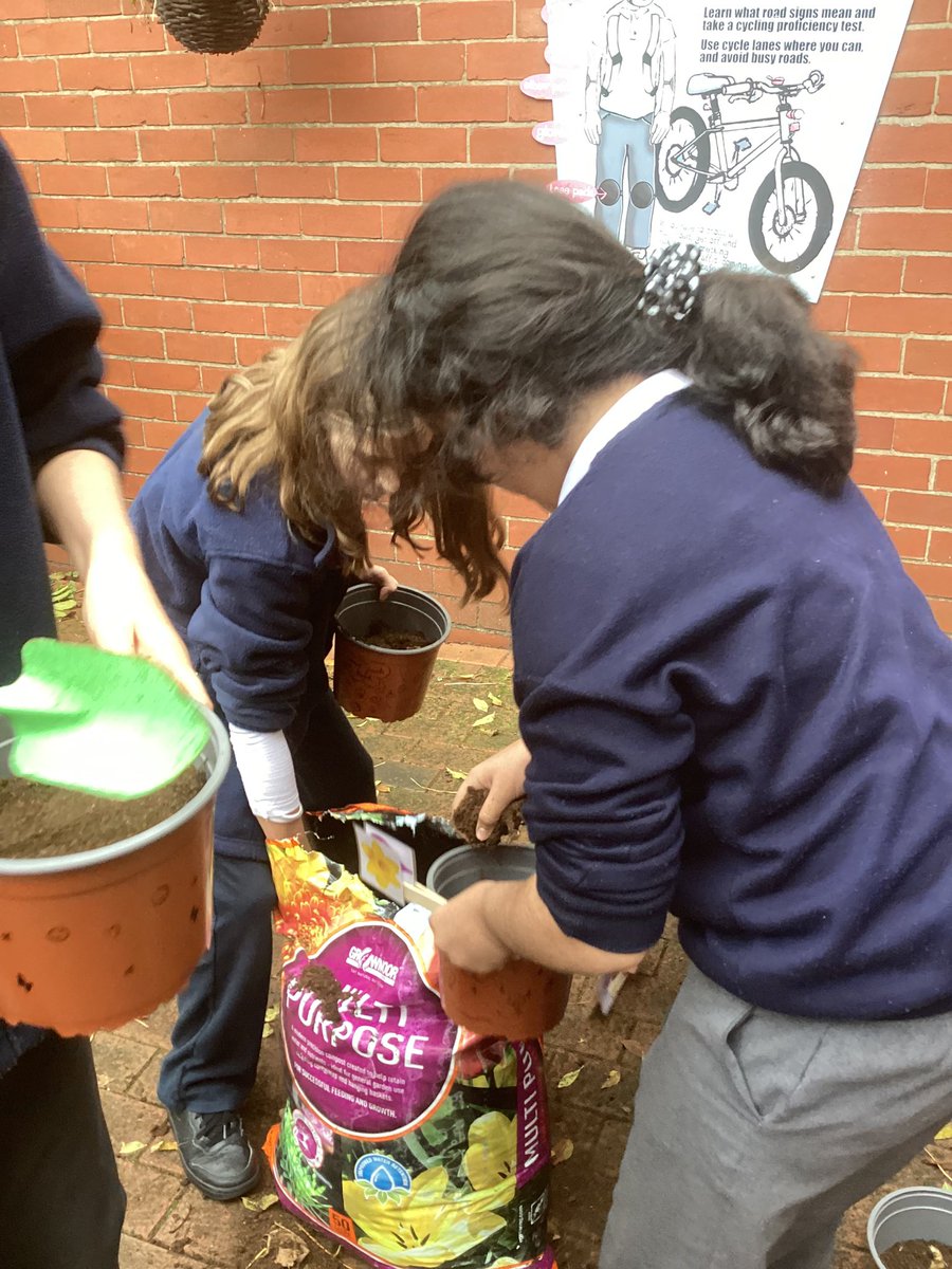 DidsburyCE's tweet photo. Year 6 are working with @Professor_Plant to take part in  the Spring Bulb project, investigating the effects of climate change in bringing forward Spring. We are looking forward to daily recording the temperature and rainfall! @EdinaTrust @STEMLearningUK  #DCEyear6 #DCEscience https://t.co/IMwHktYICr