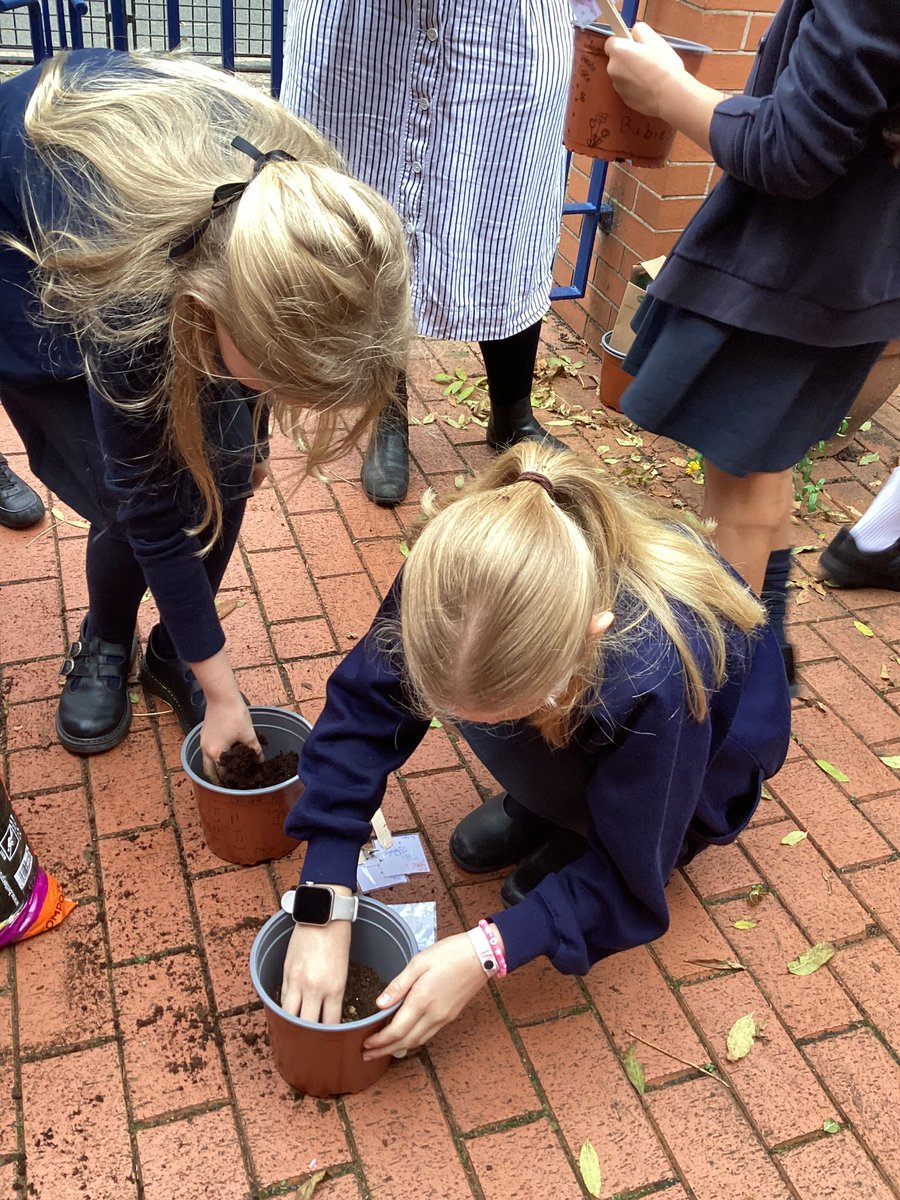 DidsburyCE's tweet photo. Year 6 are working with @Professor_Plant to take part in  the Spring Bulb project, investigating the effects of climate change in bringing forward Spring. We are looking forward to daily recording the temperature and rainfall! @EdinaTrust @STEMLearningUK  #DCEyear6 #DCEscience https://t.co/IMwHktYICr