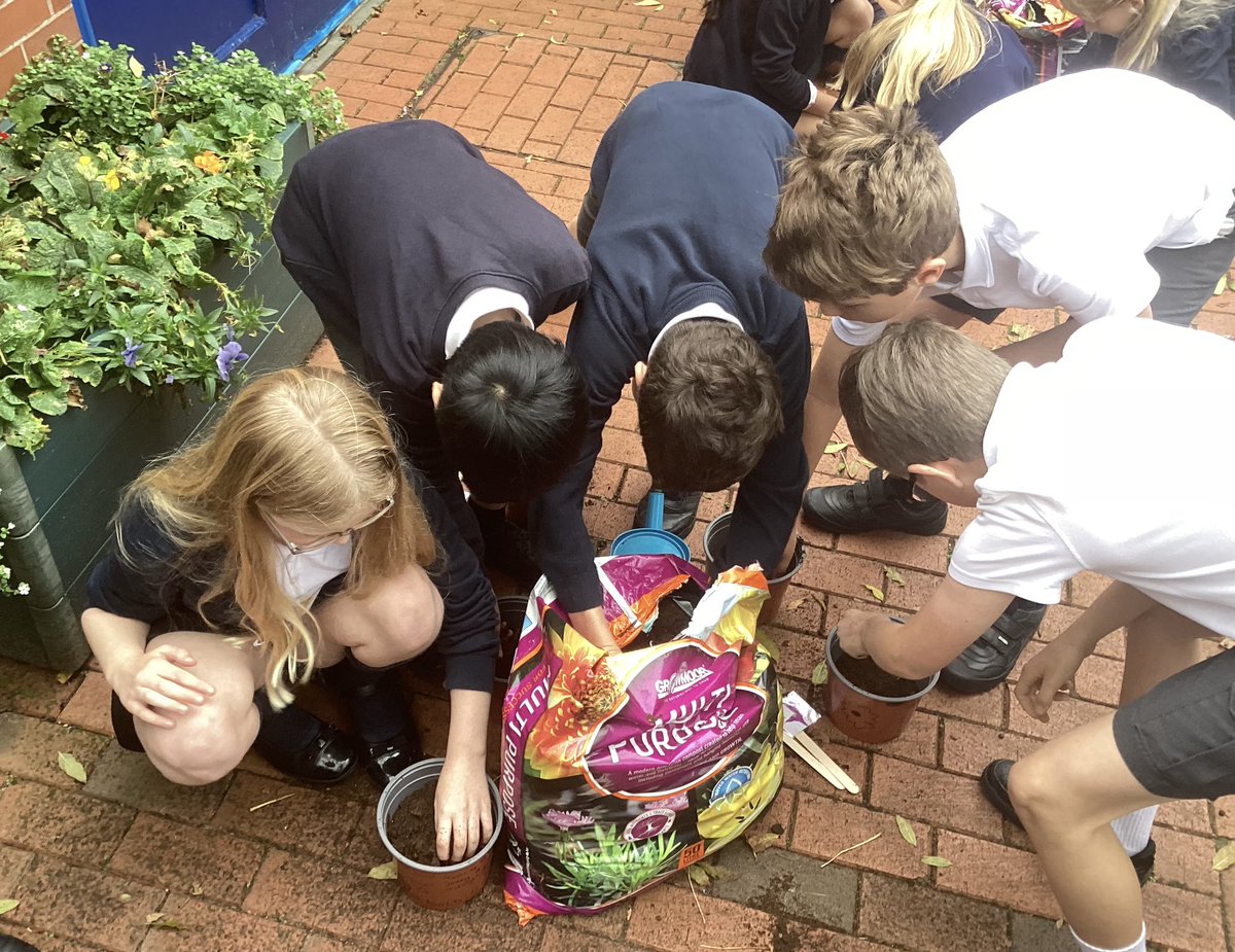 DidsburyCE's tweet photo. Year 6 are working with @Professor_Plant to take part in  the Spring Bulb project, investigating the effects of climate change in bringing forward Spring. We are looking forward to daily recording the temperature and rainfall! @EdinaTrust @STEMLearningUK  #DCEyear6 #DCEscience https://t.co/IMwHktYICr