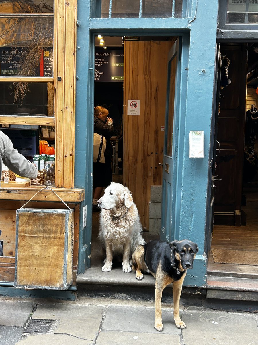 vampampire's tweet image. 4 pics from my weeks holiday in England.
Nice to go new places