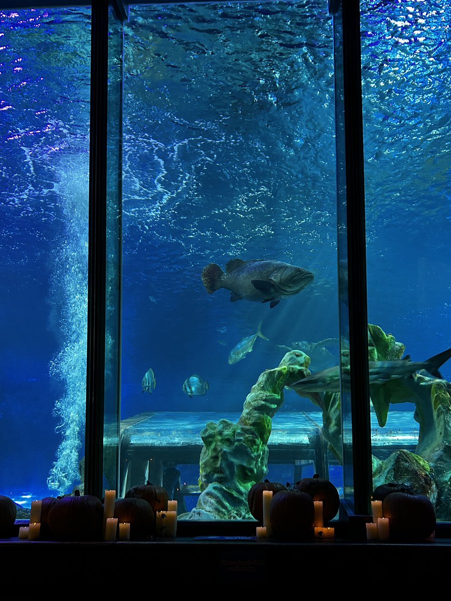 vampampire's tweet image. 4 pics from my weeks holiday in England.
Nice to go new places