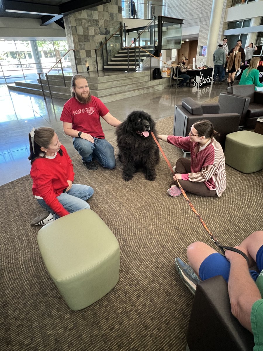 It's Wellness Wednesday! Poe and Honey provided pet therapy for students while getting belly rubs. Arkansas JLAP handed out coffee and soothing socks. 

#UARKLaw #WellnessWednesday
