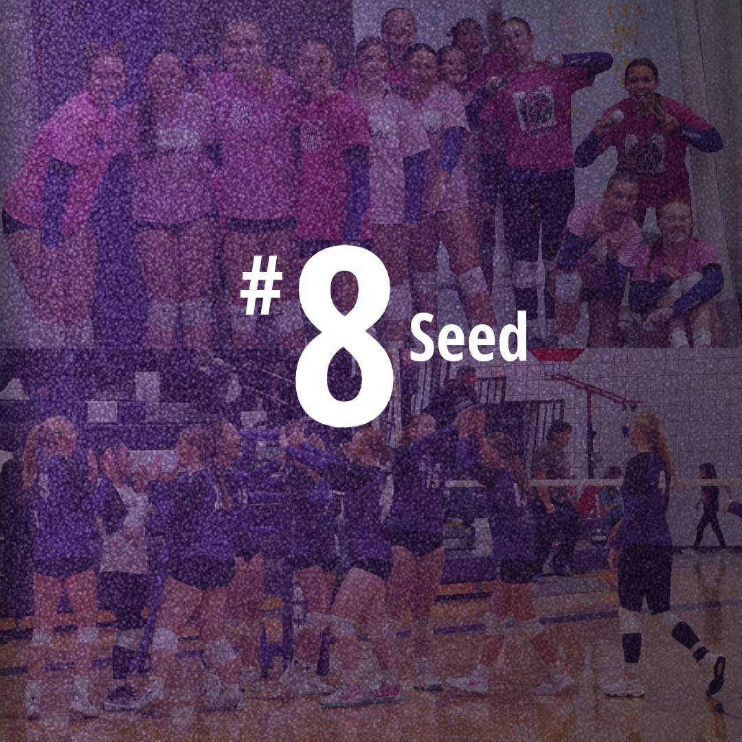 @SuperlarkVolleyball tweet media