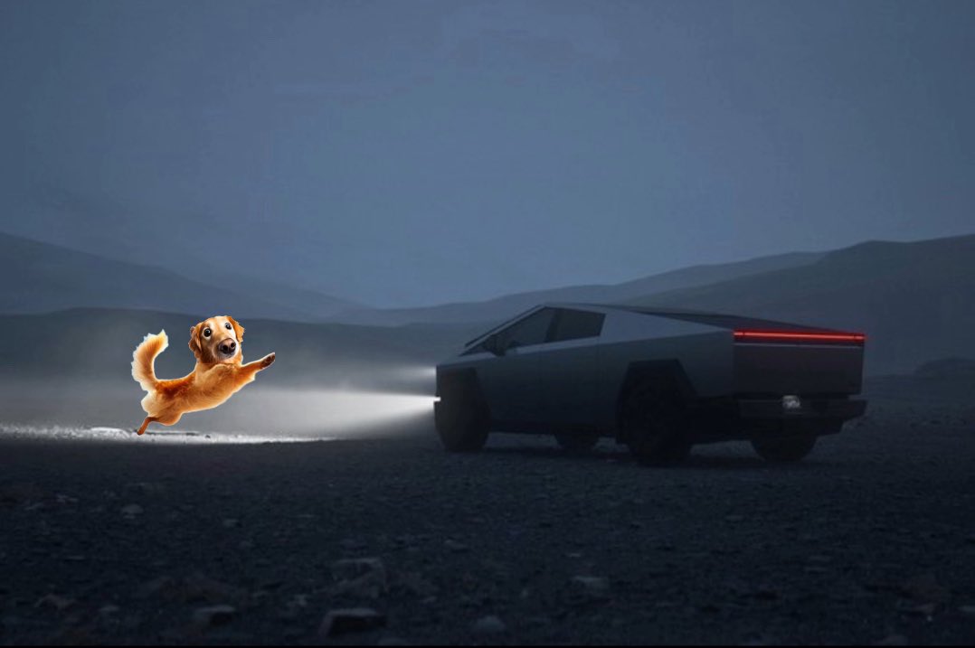 wuffycoin's tweet photo. 🚀 Wuffy on the Move! 🐾
Our fun-loving Golden Retriever is chasing the future—fast, fearless, and ready to lead the pack! Who’s joining the ride? 🌕💥
#WuffyCoin #DogInTheSpotlight #ToTheMoon https://t.co/JlKRgtDtQQ
