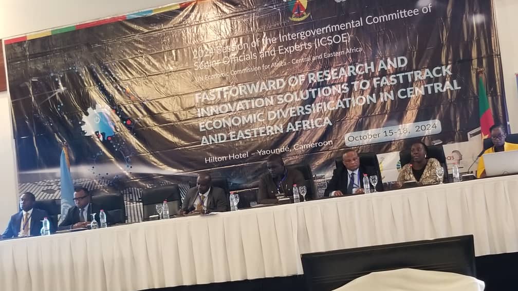 LinaAsiimwe's tweet photo. I am participating as a panelist discussing women's financial inclusion challenges and solutions in the #AfCFTA at the Inter Governmental Committee of Senior Officials and Experts #ICSOE in Yaonde, Cameroon. https://t.co/4vjuZqxzNv