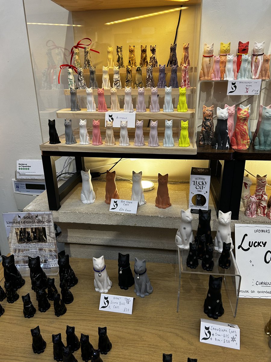 vampampire's tweet image. If ever you plan on going to York and don’t fancy the 3 hour wait to get a little ghost, there’s a little shop further up the road that sells the cat equivalent called the cat gallery. I highly recommend
