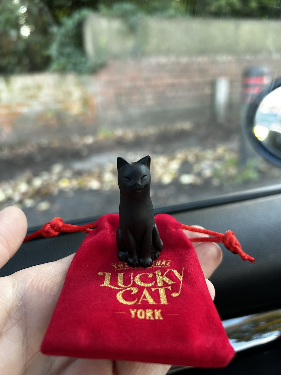 vampampire's tweet image. If ever you plan on going to York and don’t fancy the 3 hour wait to get a little ghost, there’s a little shop further up the road that sells the cat equivalent called the cat gallery. I highly recommend