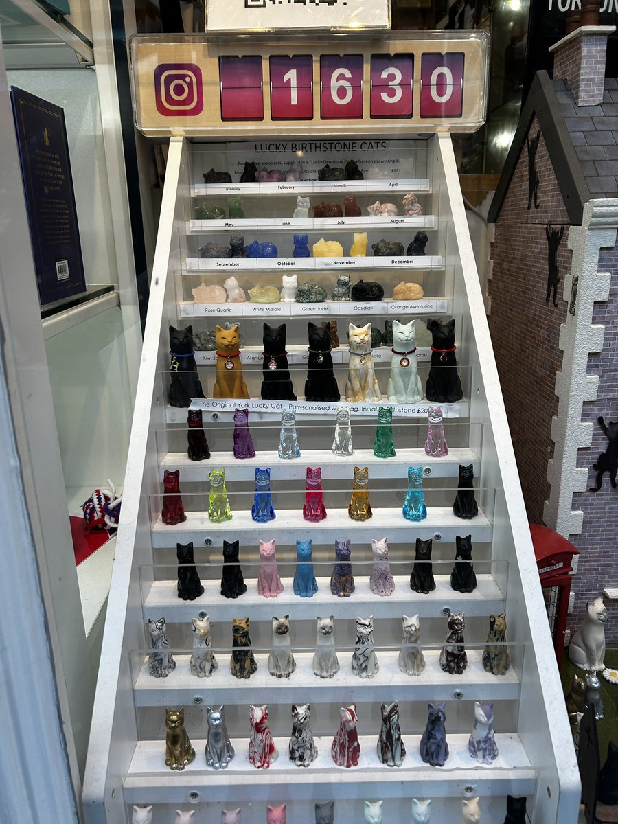 vampampire's tweet image. If ever you plan on going to York and don’t fancy the 3 hour wait to get a little ghost, there’s a little shop further up the road that sells the cat equivalent called the cat gallery. I highly recommend