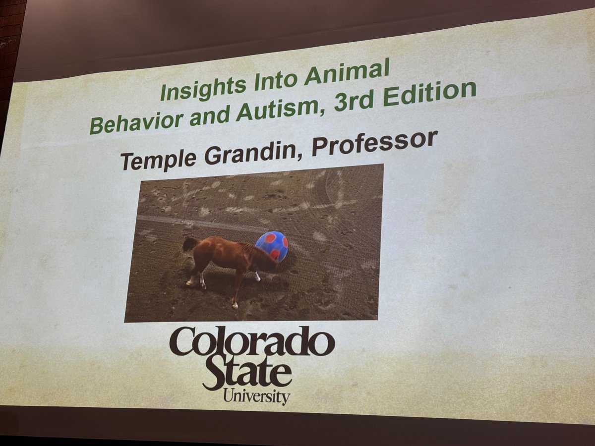 Ruth Loy tweet media