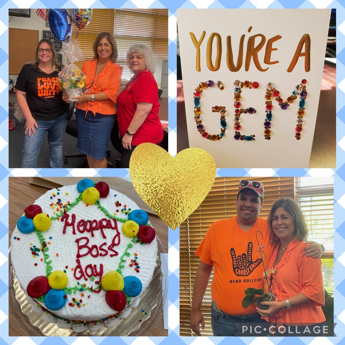 Alicia Costa DeVito tweet media