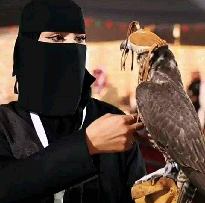 عشق الصحاري ✌🏼🔥 tweet media