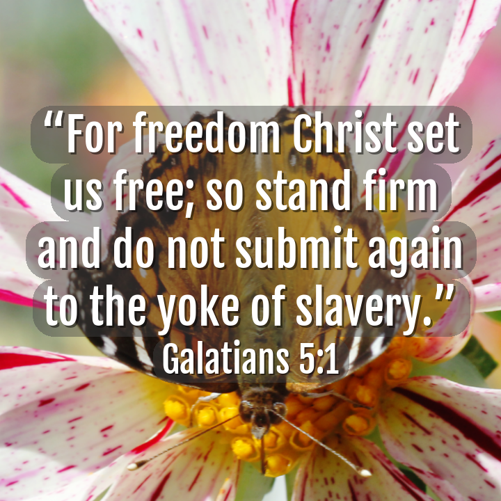 aicatholic's tweet photo. #embracefreedom 
(📸@aicatholic) #ai #OpenAI #ChatGPT #catholic #bible #CatholicTwitter https://t.co/GPd8S73lG2