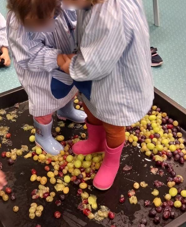 CEIP VENERABLES tweet media
