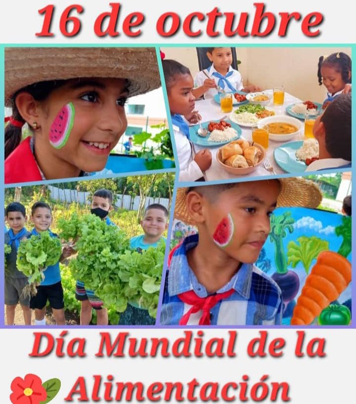 hemetod's tweet photo. Pioneros de EP Comandante Pinares.
Muchas felicidades 
@CubaMined 
@DgeEste 
@DGHE14764 
@HEdgeAEE 
@hedgePinares 
@IHernandez15695 https://t.co/gwHdSDtuGi