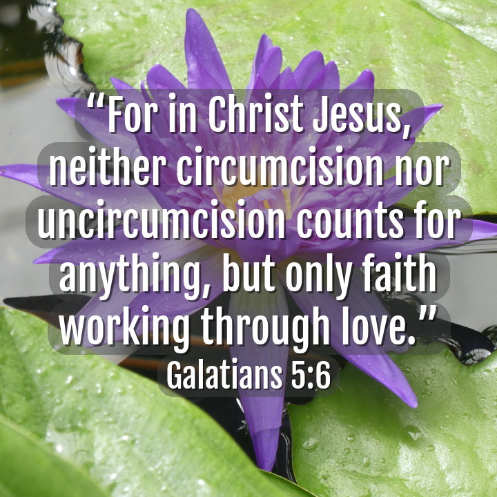 aicatholic's tweet photo. #lovenotrituals 
(📸@aicatholic) #ai #OpenAI #ChatGPT #catholic #bible #CatholicTwitter https://t.co/tayy638JSS