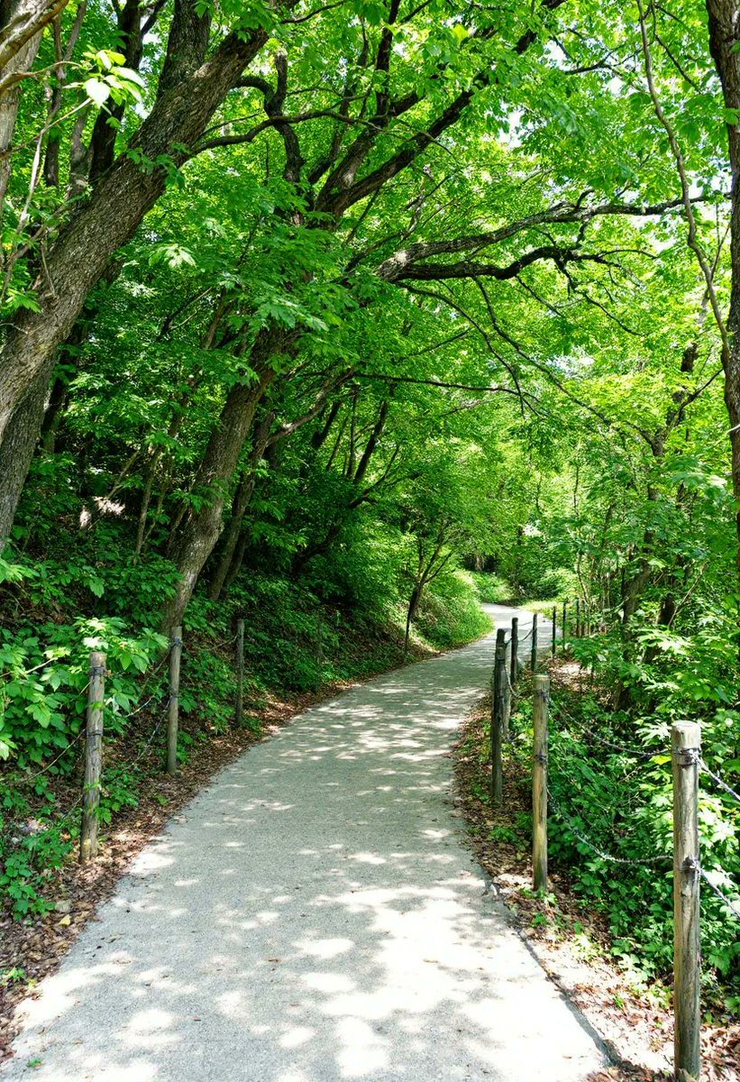 DienhoaT's tweet image. Flux doesn&apos;t give you only realistic portrait images. Take a look at these images below, they are all generated 😱. But @Sightengine knows 😎