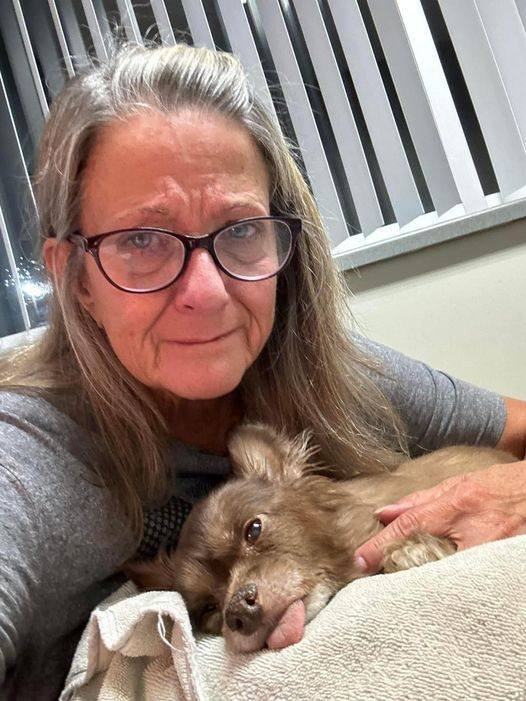 Happy Dog tweet media