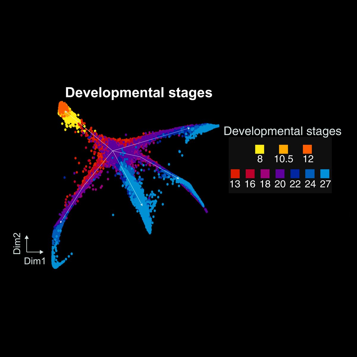 Lee et al. profile the developing Xenopus mucociliary epithelium (MCE) from pluripotent to mature stages by single-cell transcriptomics. xenbase.org/xenbase/doNews… #science #biology #devbio #xenopus #frogs