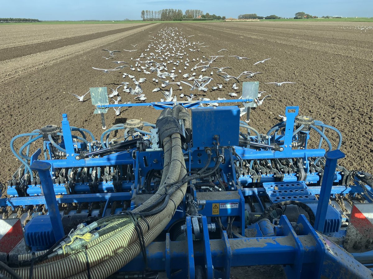 anne_enderest's tweet photo. Onder het genot van een heerlijke zonnetje tarwe zaaien voor oogst25. Het valt allemaal nog niet tegen na de regen van maandag. #akker #KMWP #agriculture https://t.co/7dbydAHyv2