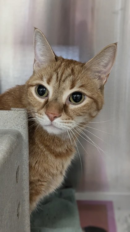 For the love of Missy. tweet media