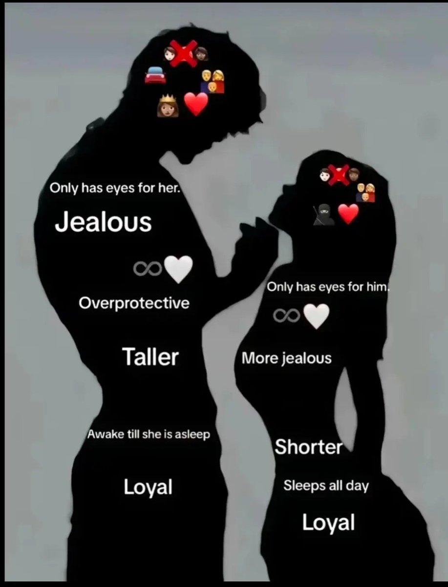 messages. tweet media