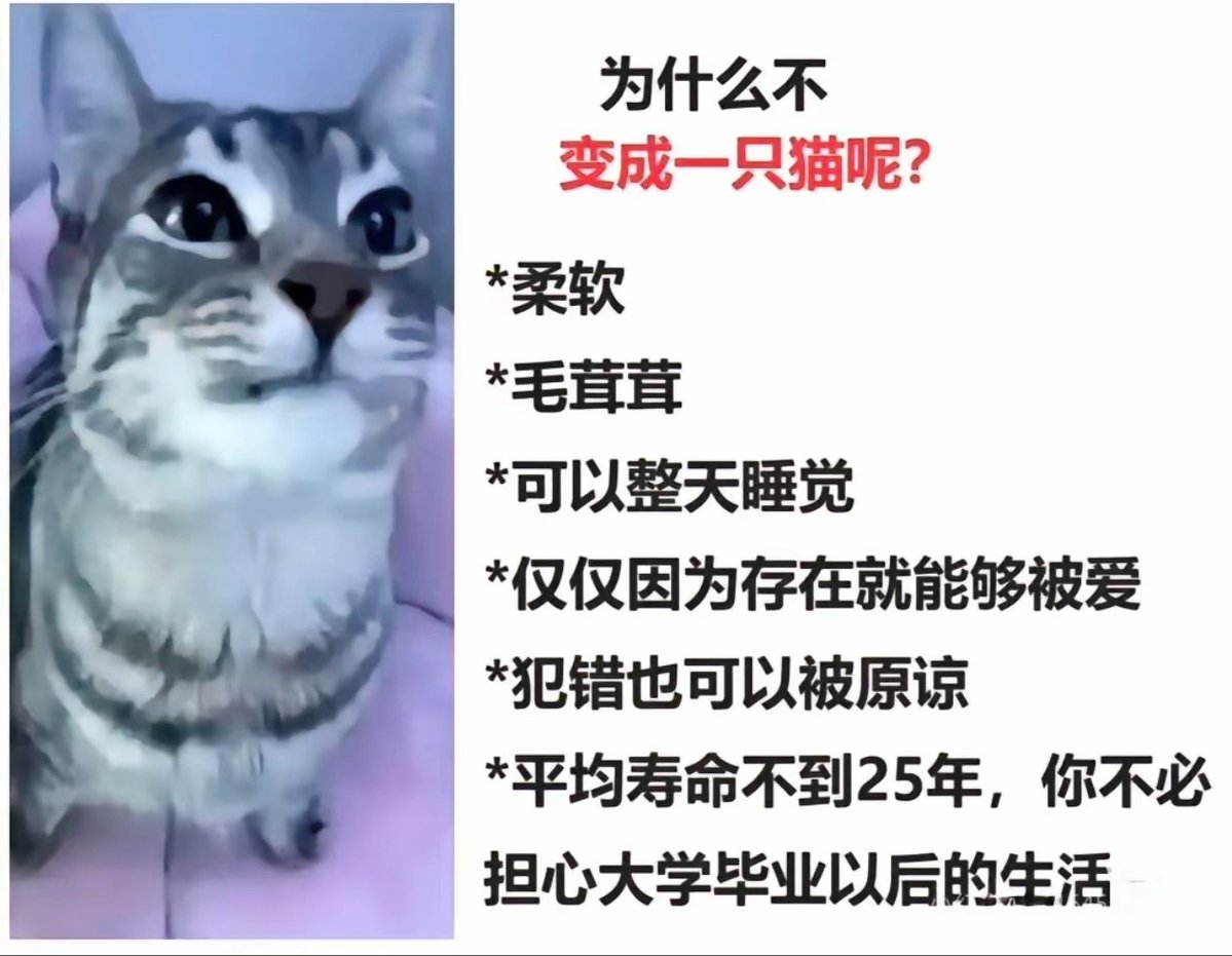 钟会 (@zhonghuifufu) on Twitter photo 