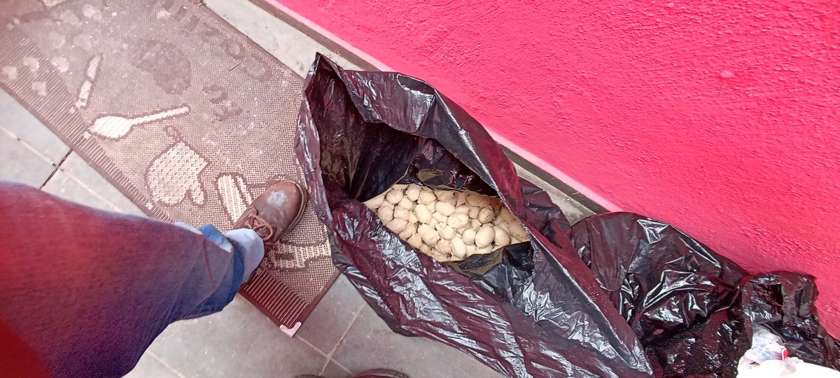 ClaudioKuruma's tweet photo. @EnelClientesBR @rodrigobocardi muito prejuízo. Não deram nenhuma satisfação sobre os protocolos abertos de falta de energia no cep 04313050 vila guarani #faltaderespeito https://t.co/LxL2ZwCmmM