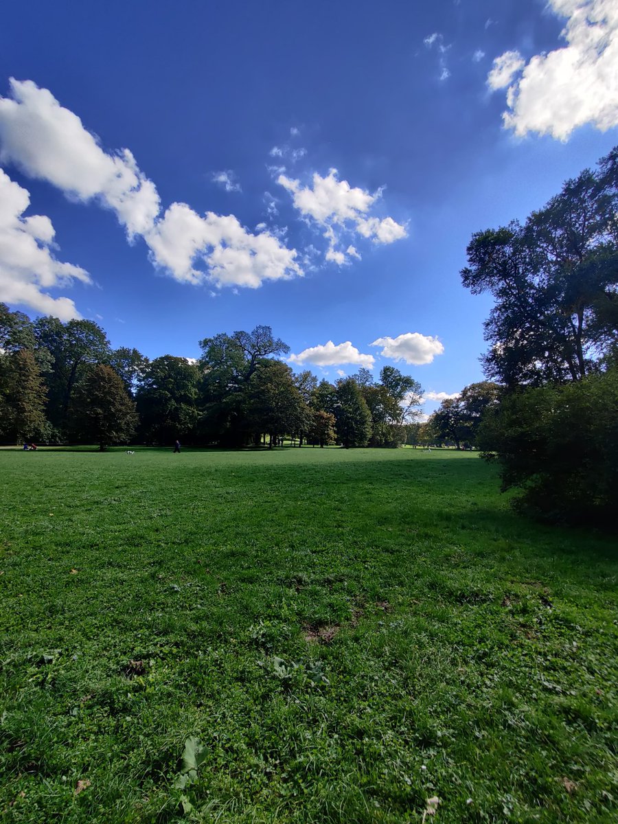 Joana Veríssimo Ferreira tweet media