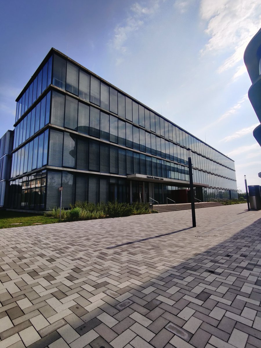 Joana Veríssimo Ferreira tweet media