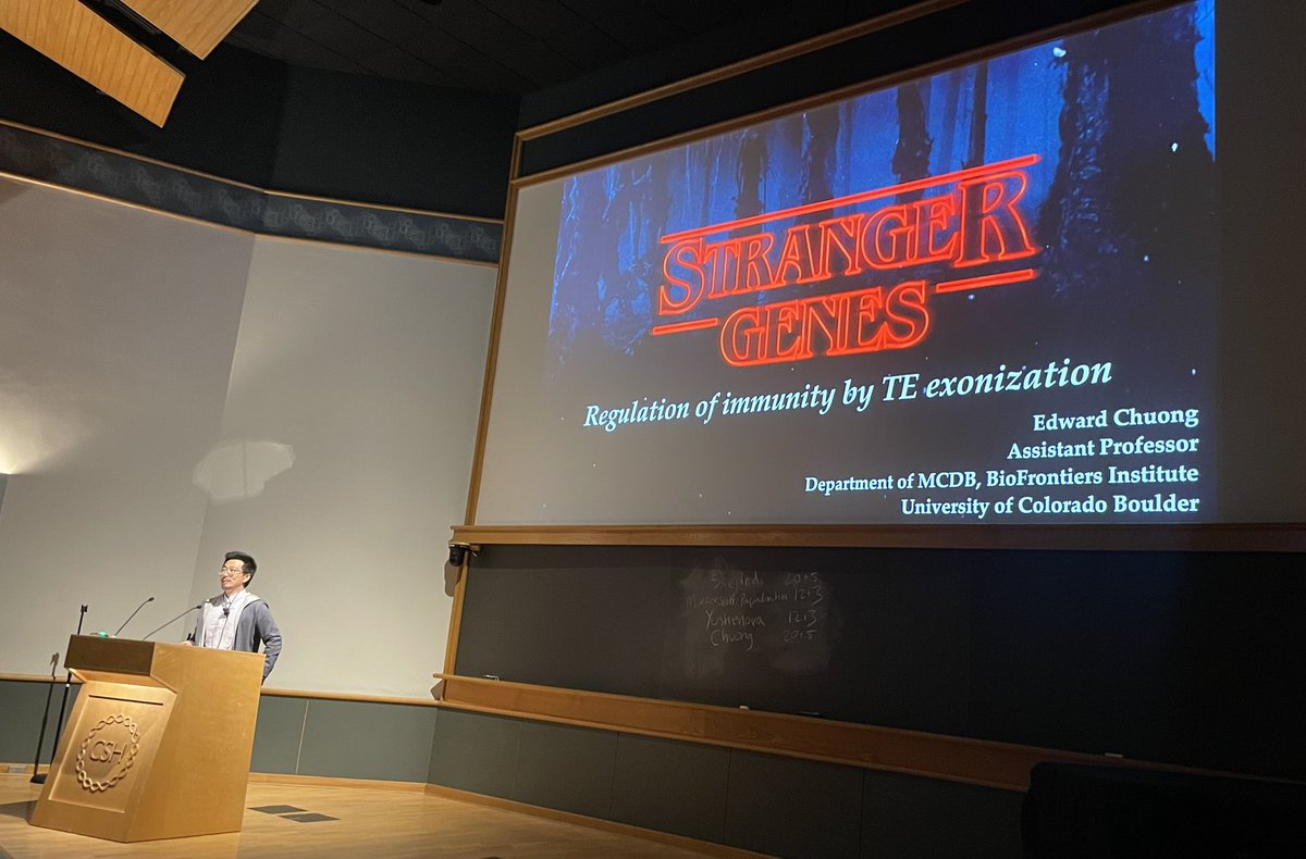 Cedric🧬➰🧬Feschotte (@cedricfeschotte) on Twitter photo Stranger Genes! The one & only <a href="/edchuong/">Edward Chuong</a> on immune splicing regulation mediated by TEs - beautiful work led by <a href="/GiuliaPasquesi/">Giulia Pasquesi</a> (Giulia is now in the faculty job market!) #cshlTE24
biorxiv.org/content/10.110… Stranger Genes! The one & only <a href="/edchuong/">Edward Chuong</a> on immune splicing regulation mediated by TEs - beautiful work led by <a href="/GiuliaPasquesi/">Giulia Pasquesi</a> (Giulia is now in the faculty job market!) #cshlTE24
biorxiv.org/content/10.110…