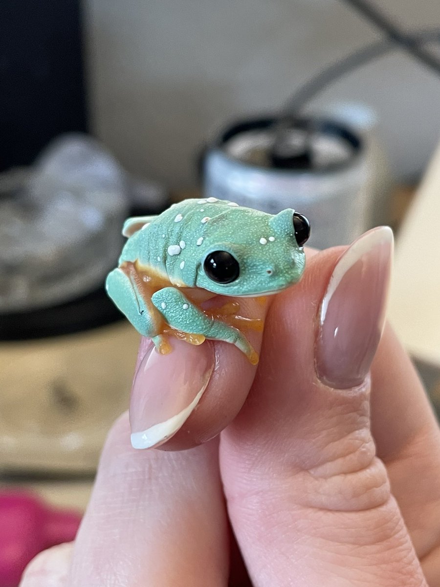 Content from avalynnslc