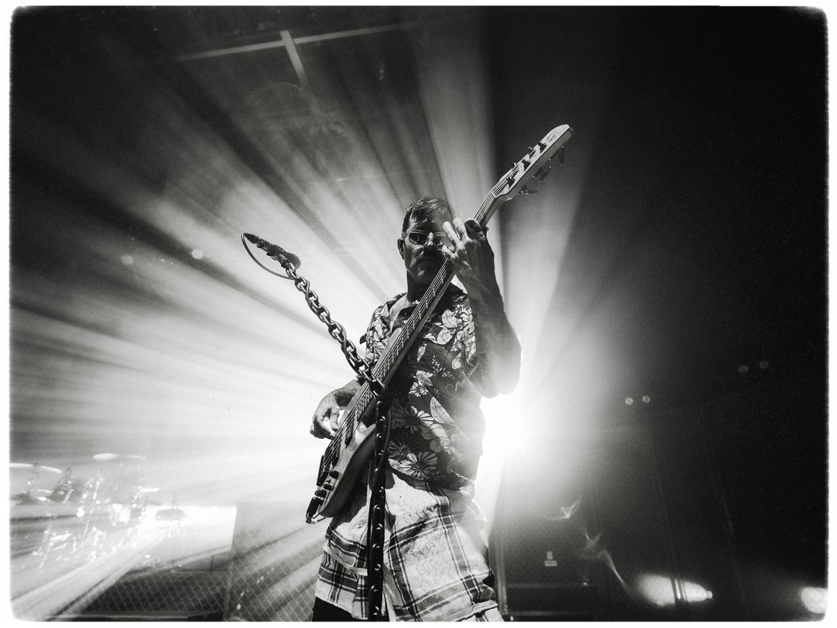 The Used tweet media