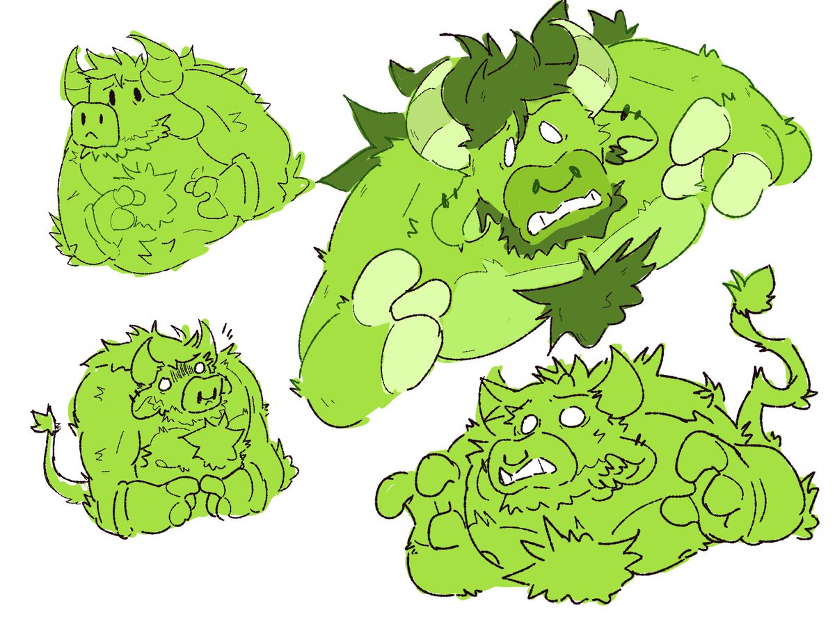 Caldo 🐊 tweet media