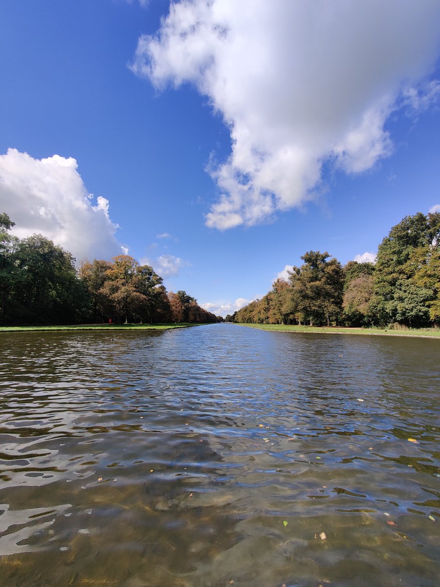 Joana Veríssimo Ferreira tweet media