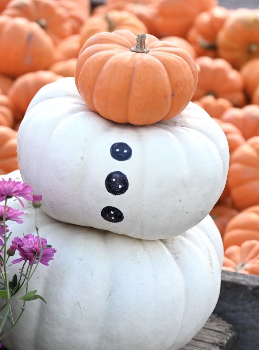 HEY pumpkin. Fall is in the air today, with thoughts of #winter too. The first #frostwarning for our area tonight!