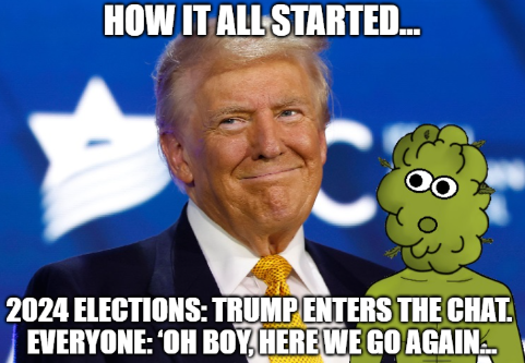 420Kusama's tweet image. You can buy this meme coin on PumpFun! 🥳

Link: pump.fun/EbNTd3PH3txKJ1…

CA:
EbNTd3PH3txKJ1WPCuTRJZpNJu7LJxwmXxCNpbkWpump

Join our tg:
t.me/budheads420 

#Budheads #BDHS $BHDS #Solana #SOL #Crypto #PumpFun #PumpFunCoin #Weed $SOL