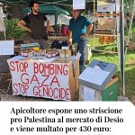 Photo by Mattia Meattelli (@ildottormea)