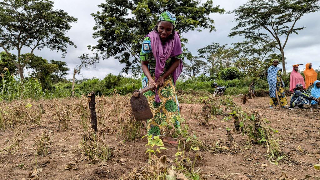 Programme SOLID tweet media