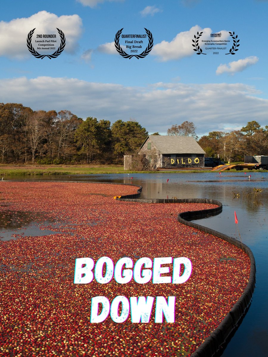 BOGGED DOWN

Check it out if you’re interested in any of the following:

-2024 PAGE Top 10 FINALIST ✅
-“Feel-something” comedy ✅
-Rural specificity &amp; charm ✅
-A Disabled Character in a legitimate Lead Role ✅
-Boston Accents ✅
-Cranberries ✅

#Screenpit #Drdy #Pi #SeRe #Div