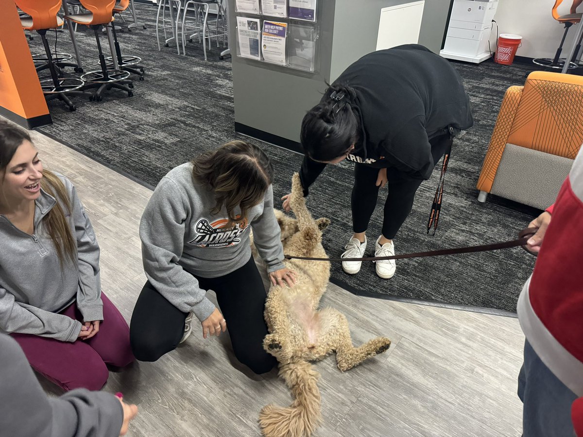So excited that therapy dog Bailey got to pay us a visit here at school!! She will be joining us soon 🦮🖤🧡