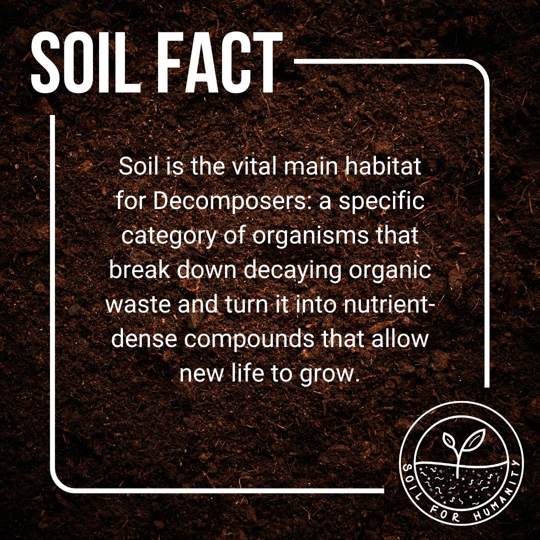 Soil for Humanity tweet media