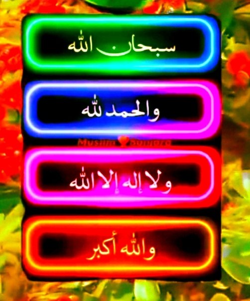 🥀 الباقيات الصالحات 🥀

🍃 سبحان الله 🍃

🪴والحمدلله🪴

🌱ولااله الا الله🌱

🌳والله اكبر🌳