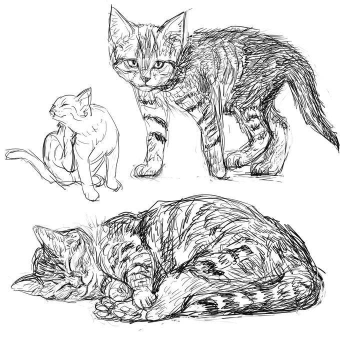 4時過ぎー
ねみーっすー🥱
苦しまぎれは猫モシャー
すばやく寝まっすー
おやすみなさいー😴💤 