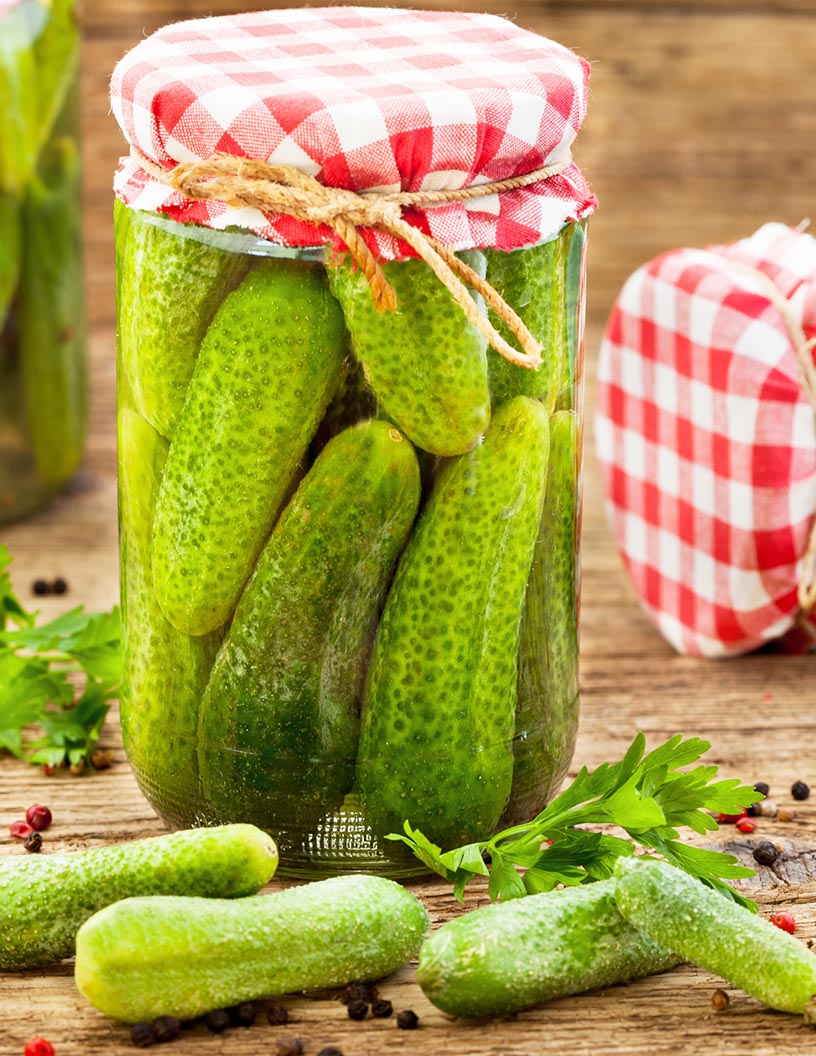 Cucumber and Gherkins Market Set for Notable Growth: Health Trends and Innovative Solutions Driving Demand! #FoodIndustry #HealthConscious #MarketGrowth #CulinaryTrends #Innovation

Explore more insights into market dynamics and growth opportunities here :shorturl.at/rIH8U